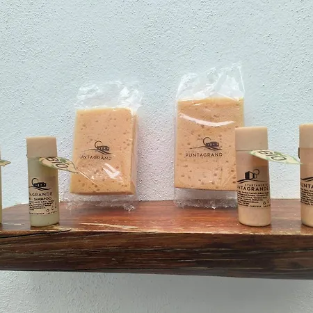 מלון Puntagrande