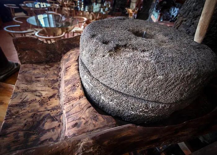 호텔 Puntagrande 프론테라