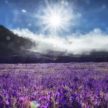 Puntagrande Hotel Frontera